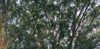 Kapolres Landak Pastikan Pengamanan Kampanye Akbar Berjalan Lancar