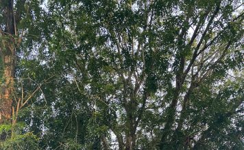 Kapolres Landak Pastikan Pengamanan Kampanye Akbar Berjalan Lancar
