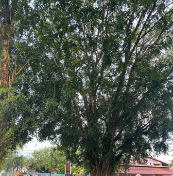 Kapolres Landak Pastikan Pengamanan Kampanye Akbar Berjalan Lancar