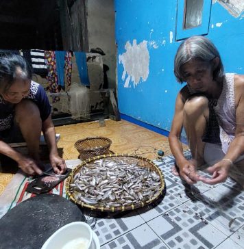 Berkah Ditengah Banjir, Sejumlah Warga Mencari Ikan Gunakan Jaring