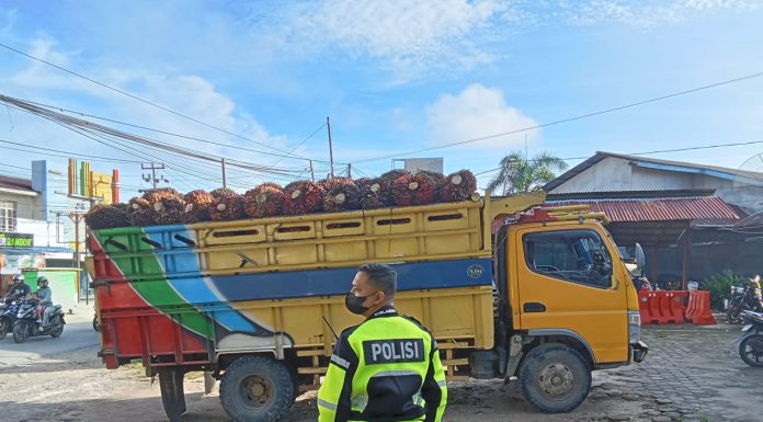 Satlantas Polres Landak Tertibkan Truk Pengangkut TBS Tanpa Jaring Pengaman
