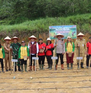 Dukung Swasembada Pangan, Pj. Bupati Landak Bersama Forkopimda Tanam Jagung Serentak