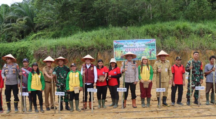 Dukung Swasembada Pangan, Pj. Bupati Landak Bersama Forkopimda Tanam Jagung Serentak