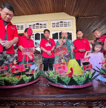Karolin : Megawati Soekarnoputri Sosok Panutan, Pemimpin dan Ibu Bagi Kader PDI Perjuangan