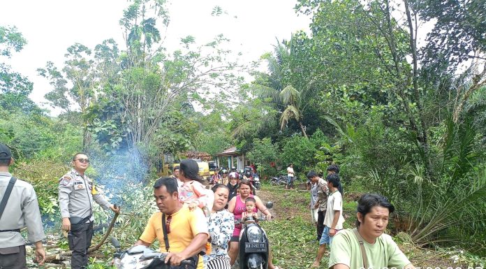 Akses Jalan Longsor Dibukit Seha Sudah Bisa Dilewati Kendaraan