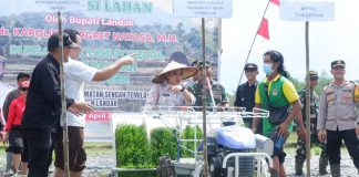 Karolin Ajak Petani Optimalkan Ketahanan Pangan Lokal