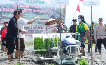 Karolin Ajak Petani Optimalkan Ketahanan Pangan Lokal