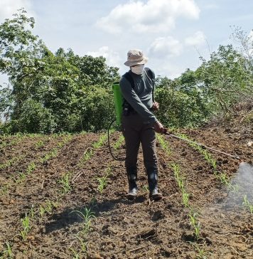 Kapolres Landak Ajak Masyarakat Mandiri Pangan