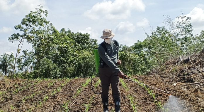 Kapolres Landak Ajak Masyarakat Mandiri Pangan