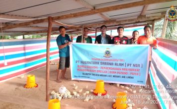 PT NSA Serahkan Bantuan Bibit Ayam Broiler Bagi Kelompok Meranti Jaya Abadi