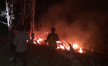Personel TNI dan Polisi Bersama Warga Padamkan Karhutla di Benyuke Hulu