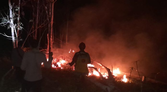 Personel TNI dan Polisi Bersama Warga Padamkan Karhutla di Benyuke Hulu