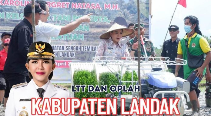 LTT Padi di Landak Tertinggi di Kalbar Selama Empat Bulan Berturut, Juli Capai 7.716,4 Hektare