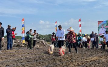 Realisasi LTT Jagung di Landak Lampaui Target 145,9 Persen per Juli 2025