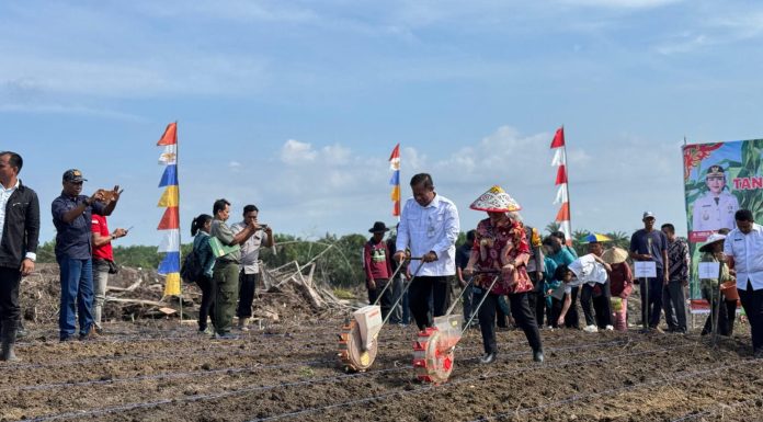 Realisasi LTT Jagung di Landak Lampaui Target 145,9 Persen per Juli 2025
