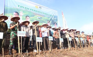 Landak Targetkan 11 Ribu Hektare Padi Gogo, Dukung Ketahanan Pangan Daerah