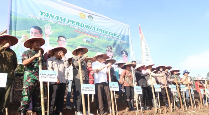 Landak Targetkan 11 Ribu Hektare Padi Gogo, Dukung Ketahanan Pangan Daerah