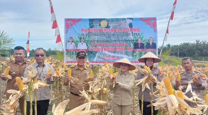 Bupati Landak Gelar Panen Perdana Jagung, Produktivitas Lampaui Rata-Rata Nasional