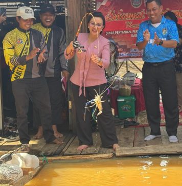 Bupati Landak Panen Udang Galah di Sungai Landak, Ajak Warga Jaga Kelestarian Sungai
