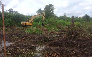 TNI Dukung Perluasan Lahan Pertanian di Landak, Cetak Sawah Baru untuk Swasembada Pangan