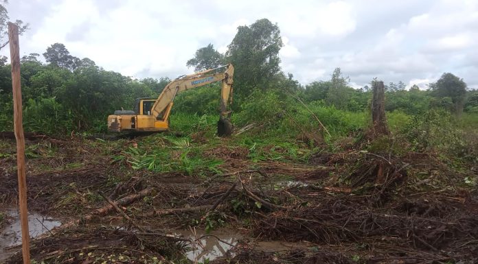 TNI Dukung Perluasan Lahan Pertanian di Landak, Cetak Sawah Baru untuk Swasembada Pangan