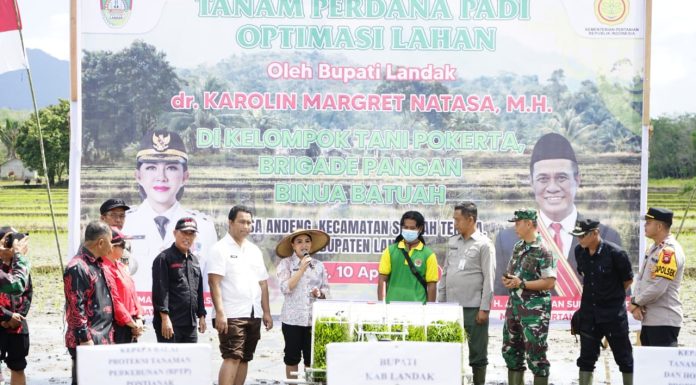 Capaian LTT Sawah Landak Tertinggi di Kalbar, Bupati Karolin : Bulan Oktober Hampir 15 Ribu Hektare