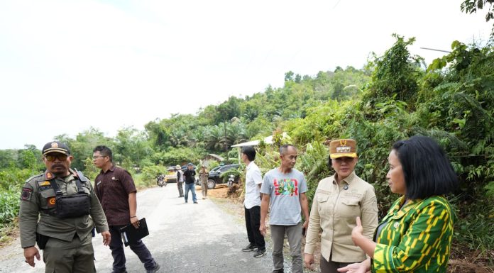 Bupati Karolin Tinjau Perbaikan Jalan Karangan-Salumang Mempawah Hulu