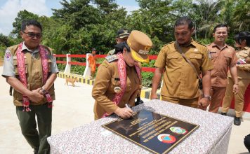 Bupati Karolin Resmikan Jembatan Baru Penghubung Desa di Amboyo Selatan