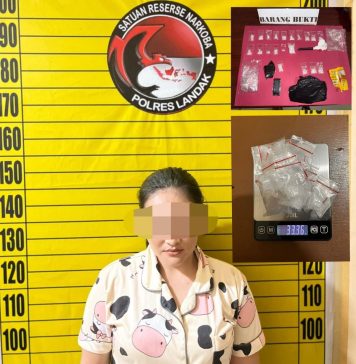 Wanita Pengedar Sabu Ditangkap, Polisi Sita Belasan Paket Siap Edar