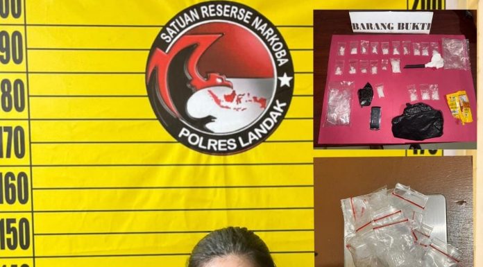 Wanita Pengedar Sabu Ditangkap, Polisi Sita Belasan Paket Siap Edar