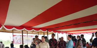 Soal Tuntutan Cabut HGU, Bupati Karolin Tegaskan Kewenangan di Pusat