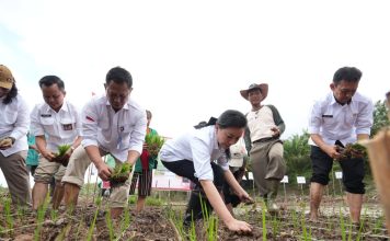 Buka Tanam Perdana Padi di Ngabang, Karolin Soroti Air, Irigasi, dan Bantuan Tepat