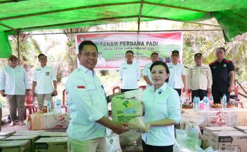 Dari Keterbatasan ke Sawah, Nikolaus Supin Jadi Motor Pertanian di Temiang