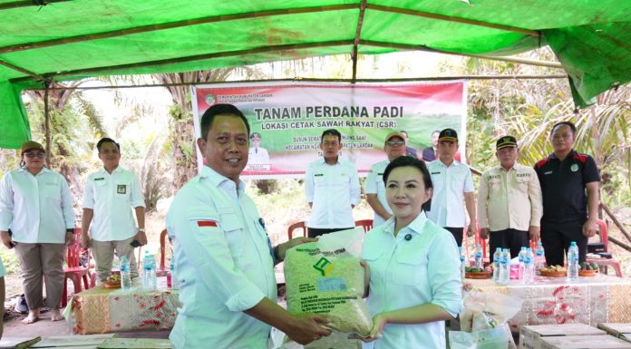 Dari Keterbatasan ke Sawah, Nikolaus Supin Jadi Motor Pertanian di Temiang
