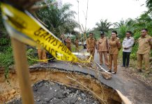 Bupati Landak Karolin Margret Natasa Cek Langsung Lokasi Longsor di Desa Angan Tembawang