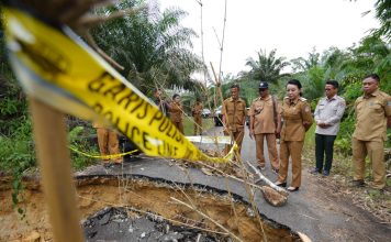 Bupati Landak Karolin Margret Natasa Cek Langsung Lokasi Longsor di Desa Angan Tembawang