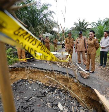 Bupati Landak Karolin Margret Natasa Cek Langsung Lokasi Longsor di Desa Angan Tembawang