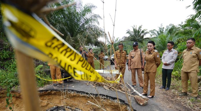 Bupati Landak Karolin Margret Natasa Cek Langsung Lokasi Longsor di Desa Angan Tembawang