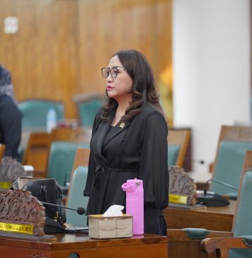 Kabut Asap Jadi Polemik, Angeline Kritik Rencana Pencabutan Perda Perladangan