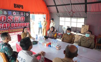 Karolin Perintahkan Lakukan Penyelidikan Terhadap Tiga Perusahaan di Landak, Terkait Karhutla