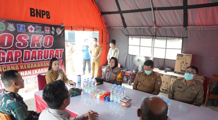 Karolin Perintahkan Lakukan Penyelidikan Terhadap Tiga Perusahaan di Landak, Terkait Karhutla
